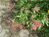 a0457c17-Picture 6503.jpg